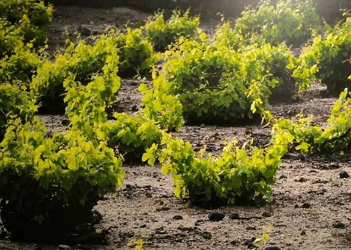 Kamarí Real Living-canava House With Caldera Views *